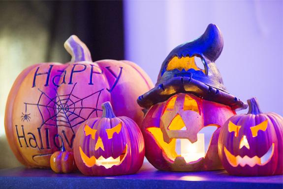 Halloween | Kustpark Egmond aan Zee