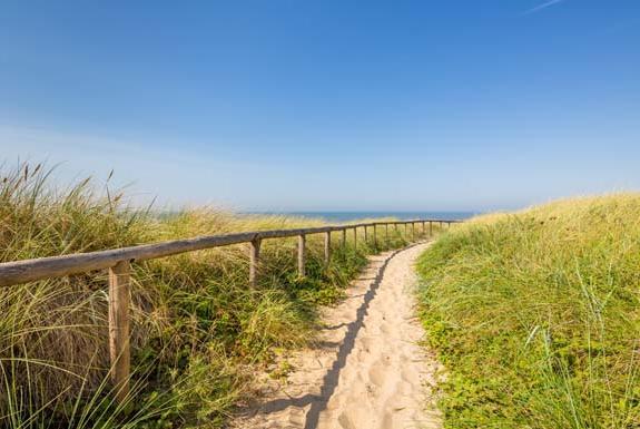 Natuur in de omgeving | Kustpark Egmond aan Zee