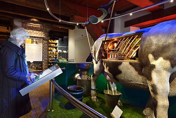 Hollands Kaasmuseum Alkmaar | Ontdek de omgeving van Kustpark Egmond aan Zee